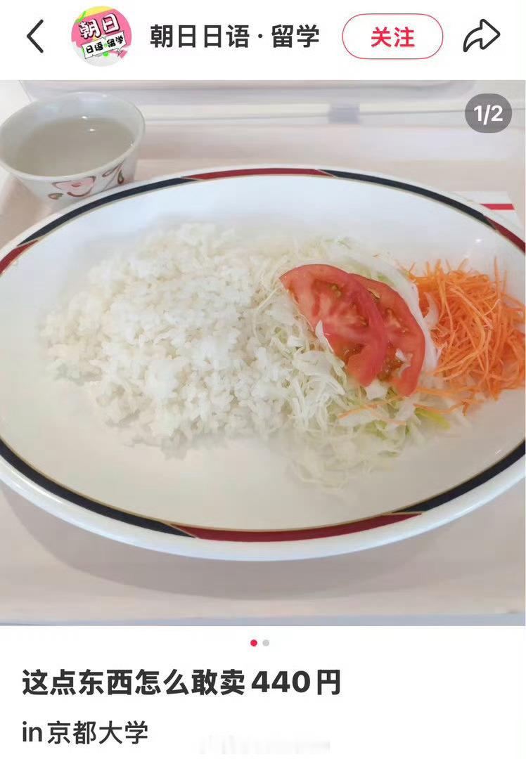 在中国的垃圾桶翻翻都比这个丰盛……海外新鲜事