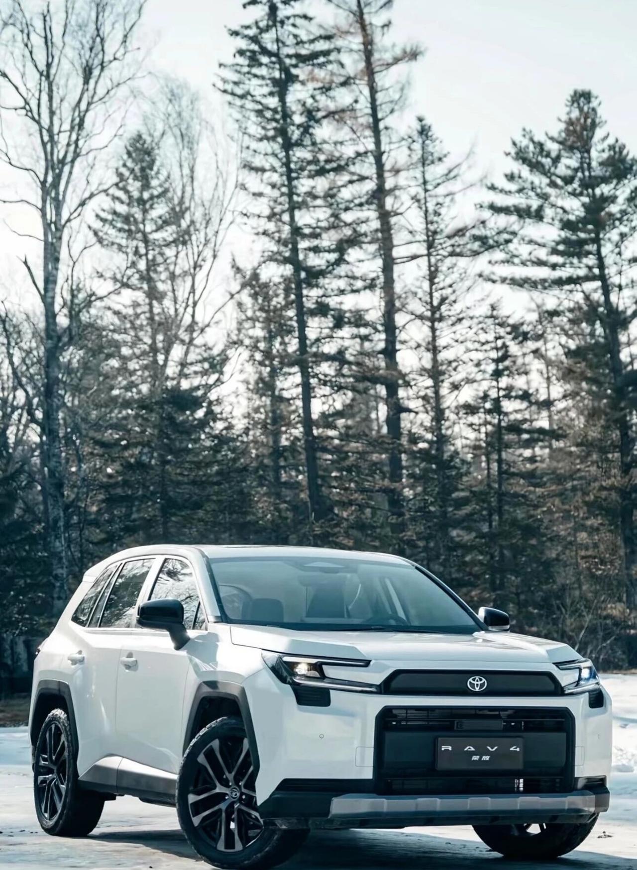 丰田双冠再封神！第六代RAV4荣放交付，15万级家用王炸2025年丰田以