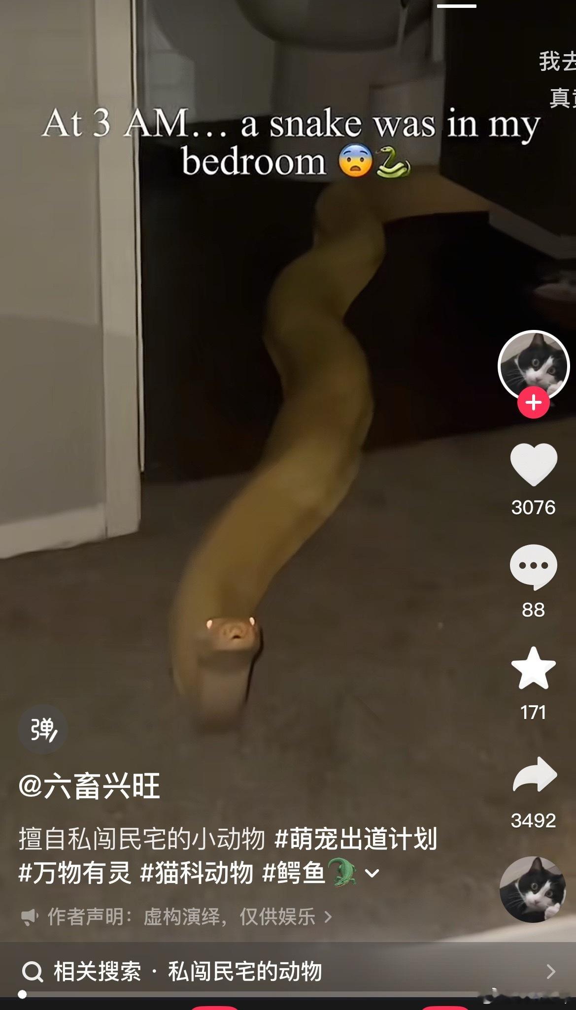 我直接醒了。​​​