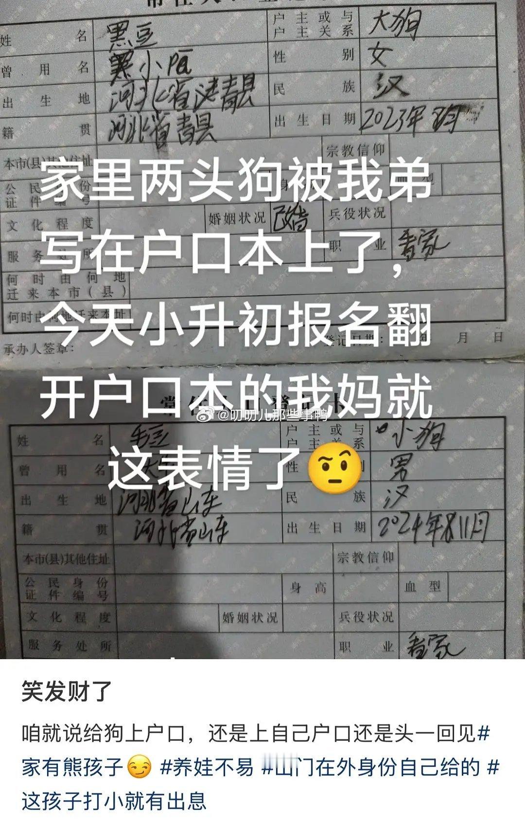 咱就说给狗上户口，还是上自己户口还是头一回见🤣🤣​​​