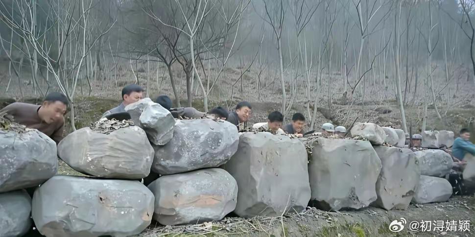 这就是我不看国产剧的理由