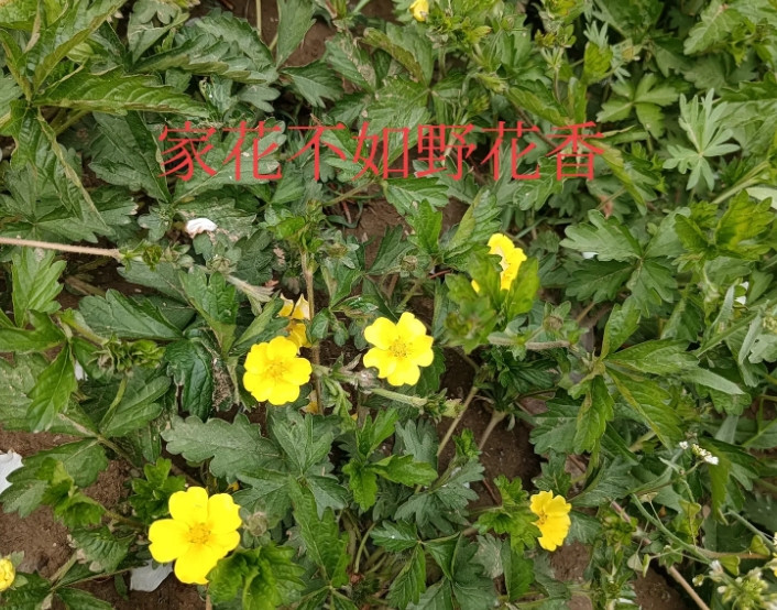 班长组织同学聚会，开始说AA制，到了以后，说女生免费，男生AA制，这时一个男同学