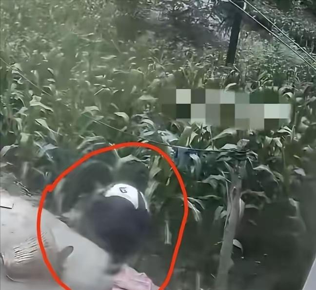 云南失踪男孩绝对是人才，能离家出走独自生存6天。反侦察意识强，知道灯下黑，躲藏