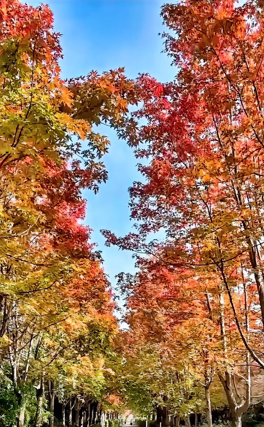 武汉这家涉密单位的保卫科负责人最近可能挺头疼的。他怎么也想不到，单位几十号人