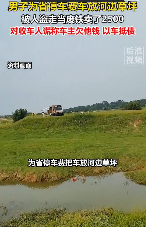 “得不偿失！”上海浦东，一车主为了省停车费，将车停在了一处无人看管的河边草坪，自