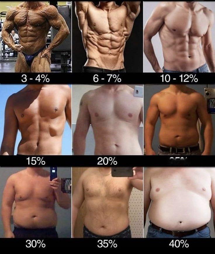 中年~中老年男性体脂率解读：3-7%，反而不健康，除专业健美运动员、男裸模…也没