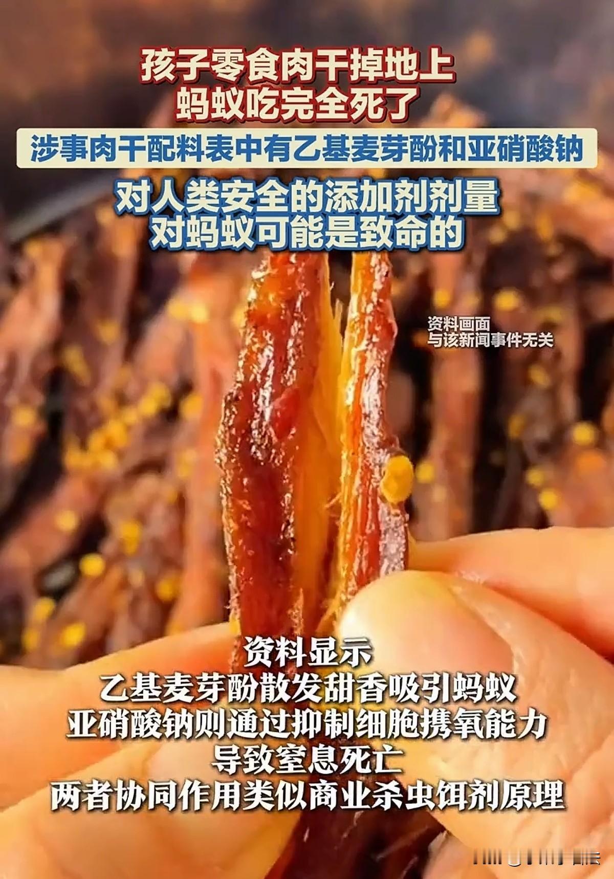 触目惊心！海南，一孩子吃手撕肉干零食碎渣掉落在地面，吸引蚂蚁群啃食，谁知蚂蚁短时
