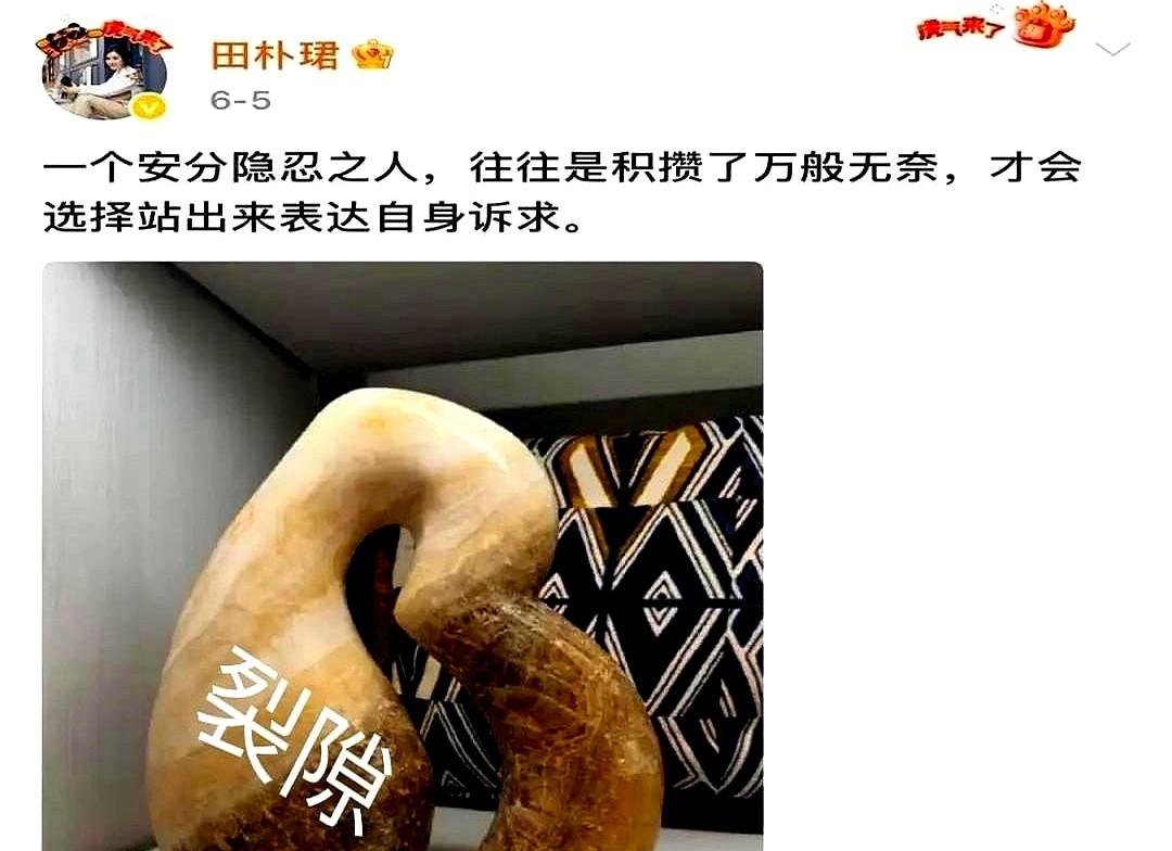 6月5日的深夜，王石和田朴珺这对相差30岁的夫妻，在互联网的两端，交出了一份割裂