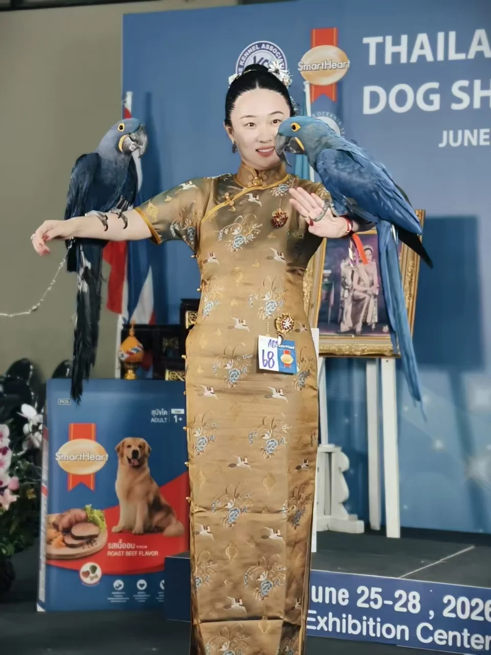霍思燕家的鸟也好争气！
