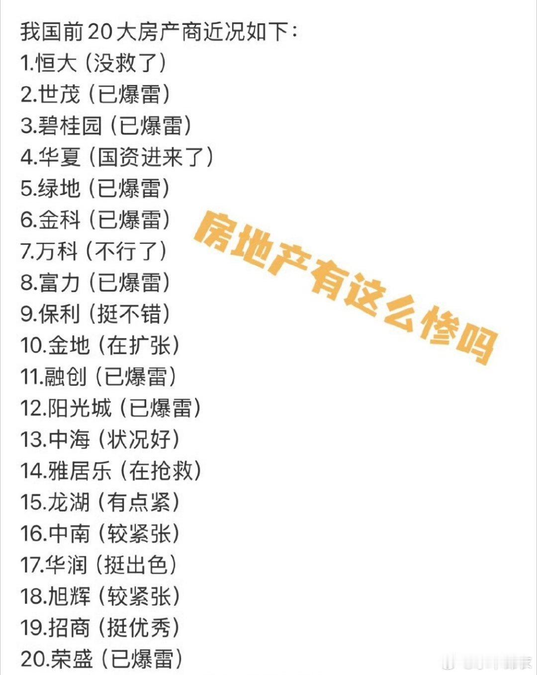 前20开发商
