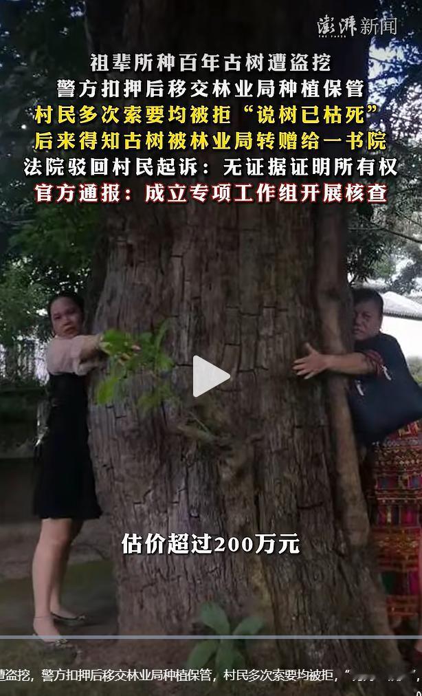 2026年7月30日，海南省白沙黎族自治县林业局针对网络热议的古树权属