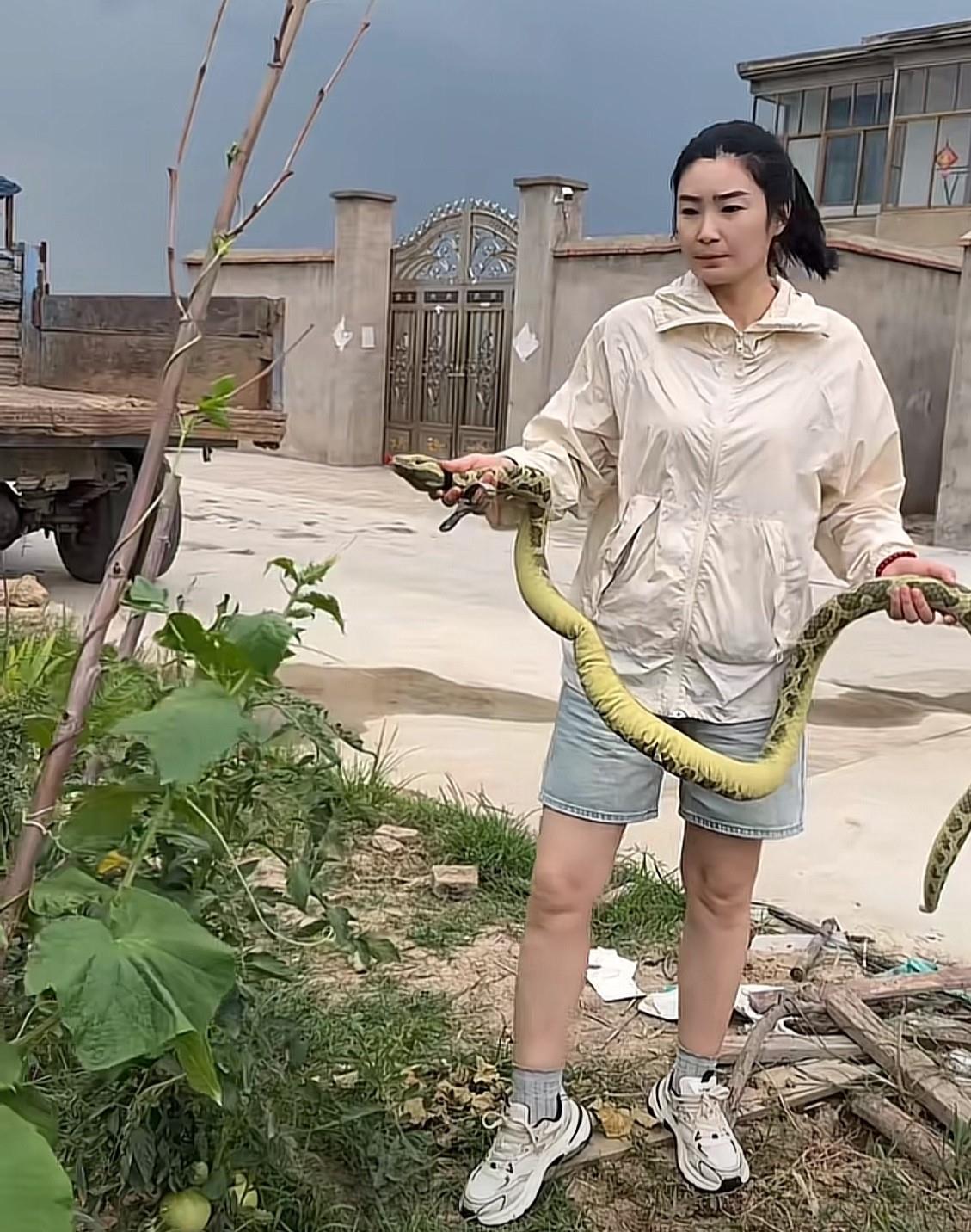 网友：邻居天天来偷我家黄瓜；这下看谁敢偷