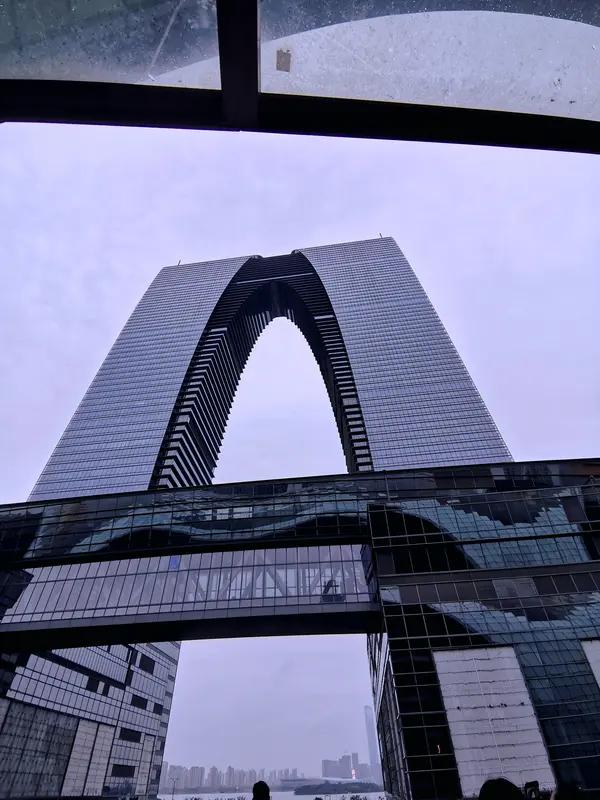 从浦东机场到苏州，有几种交通方式可选。坐高铁是个不错的选择。先从浦东机场坐地铁