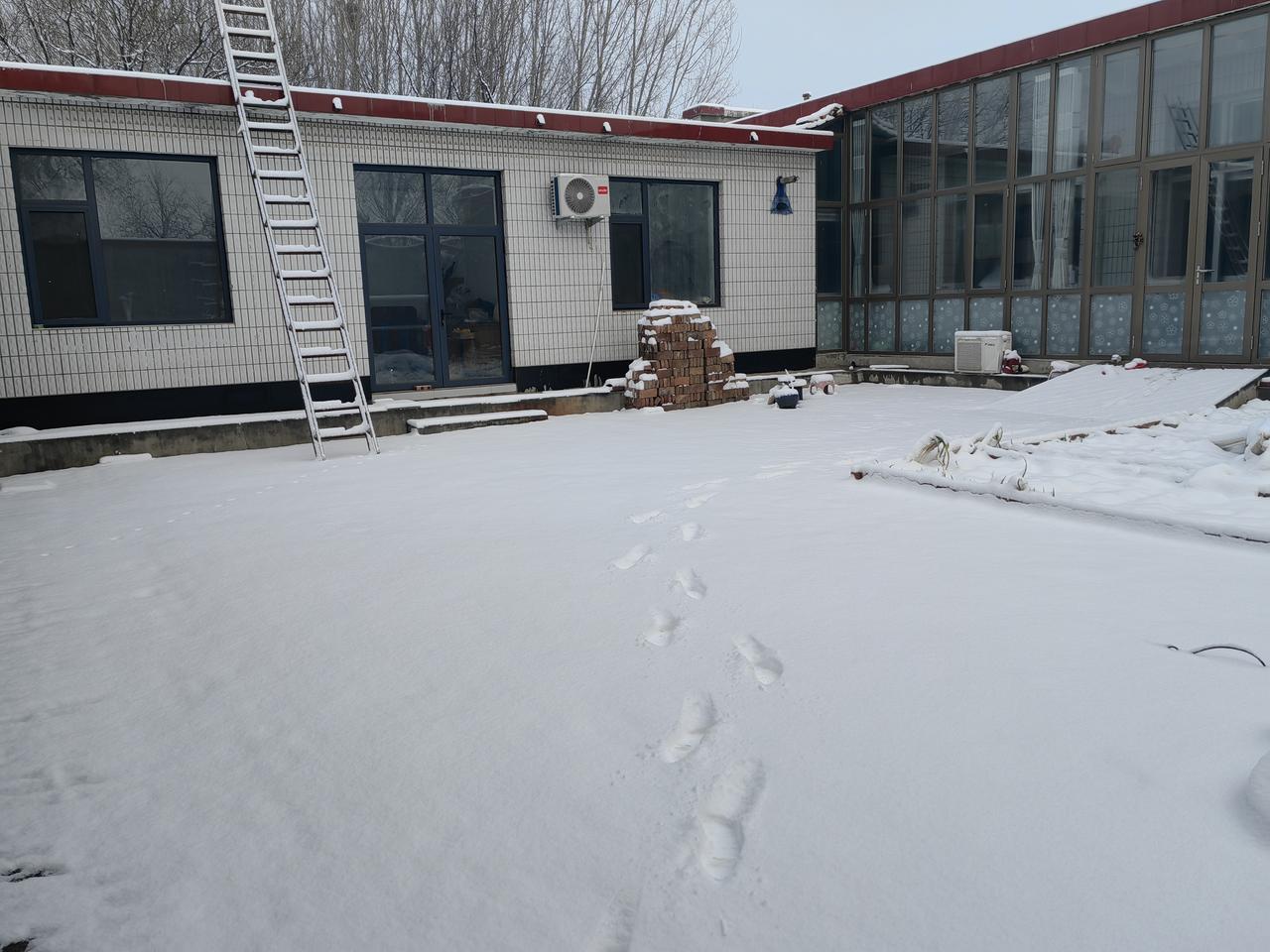 坐标河间：一个冬天没下雪，三月二号晚上终于下雪了，并且下的还不小。前些天气温最