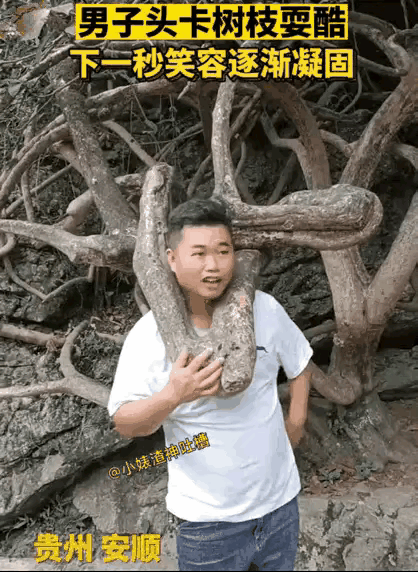 “笑不活了！”一位小伙去景区游玩，瞧见一棵奇怪的三角树杈，满心好奇，二话不说将头