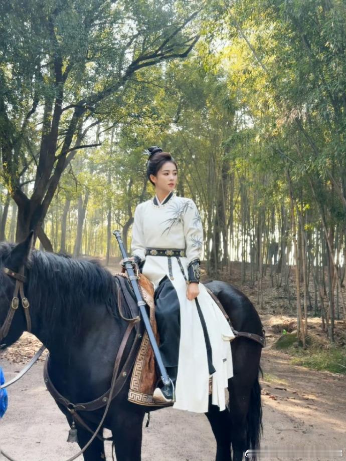 白鹿王星越唐宫奇案质感白鹿和王星越都是很有潜力的演员，在《唐宫奇案》里他们将挑