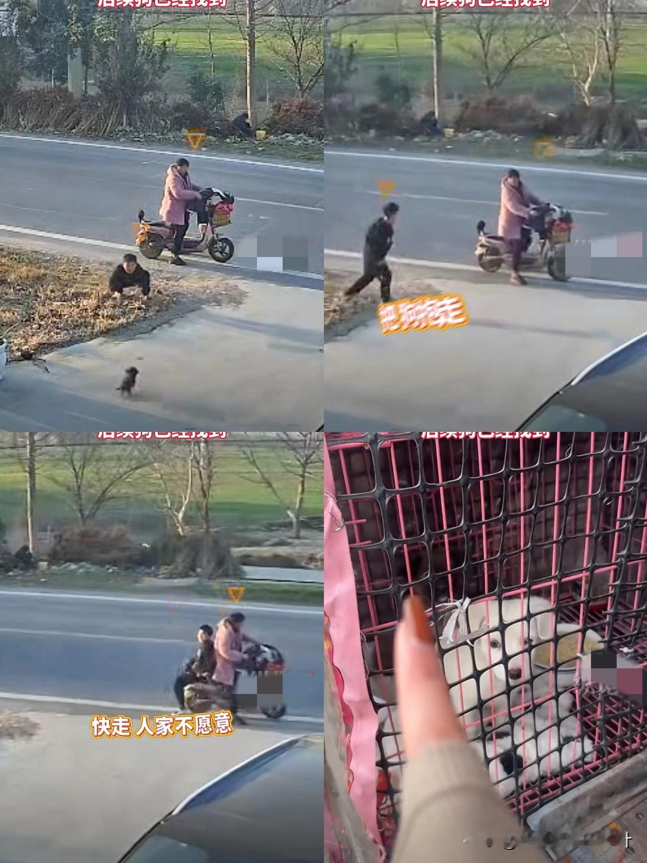 孩子小不懂事，家长也不懂事？小孩大庭广众之下偷狗，家长非但没有阻止，反而