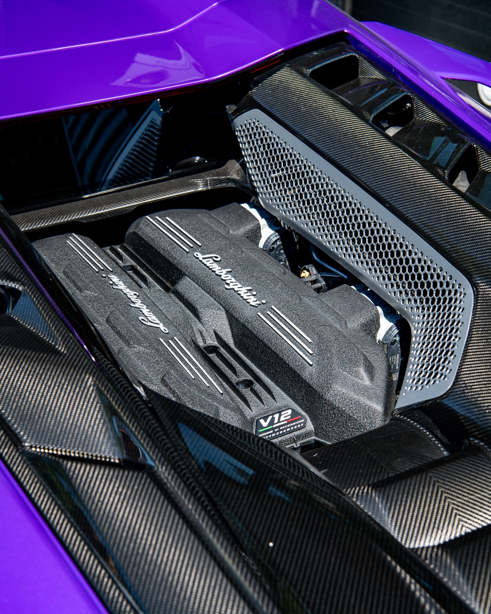 LamborghiniRevuelto油漆：ViolaParsifae