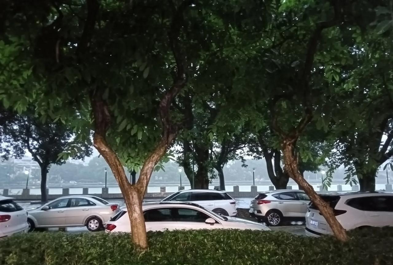 我终于明白美国为何会变成今天这样子了。在我的评论区里，但凡说点不利于美国，以色