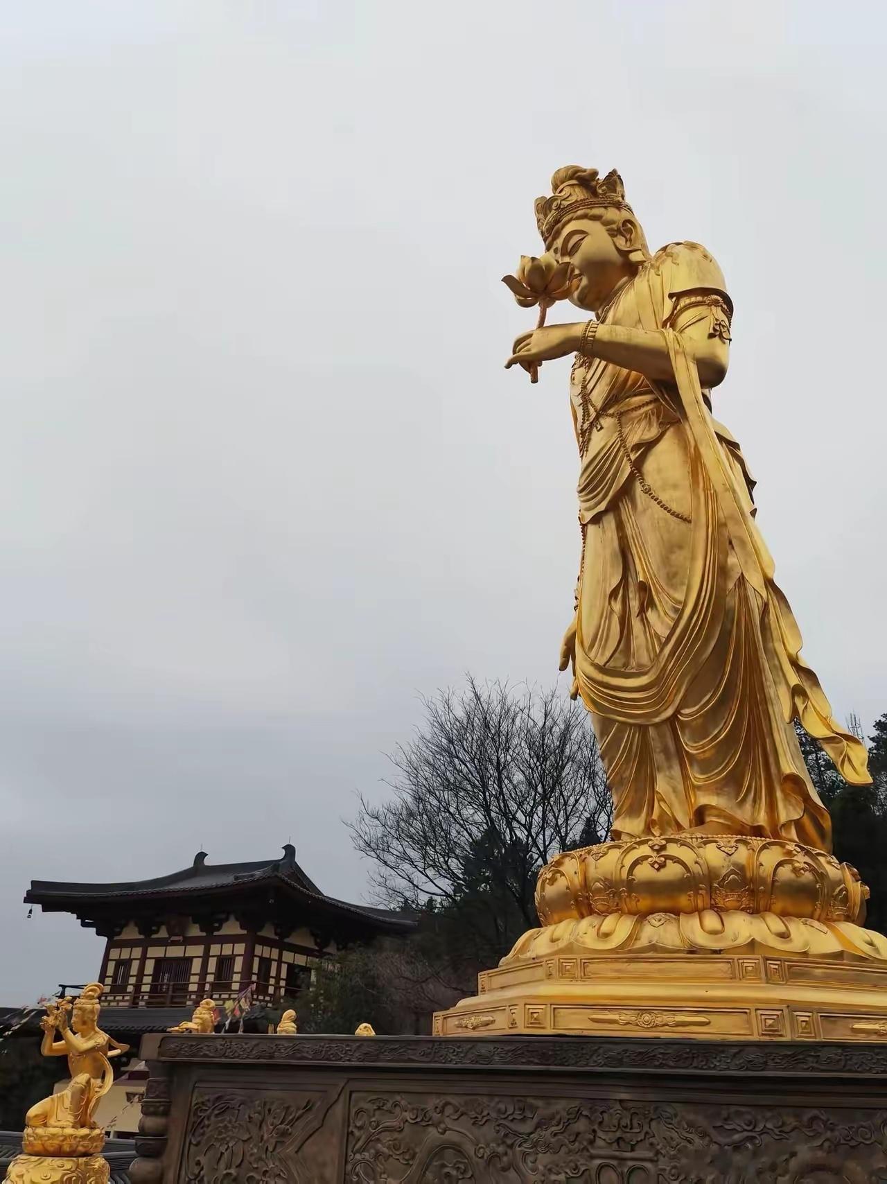 末法修行先学文钞【印祖开示】诸佛以八苦为师，成无上道，是苦为成佛之本。又佛令