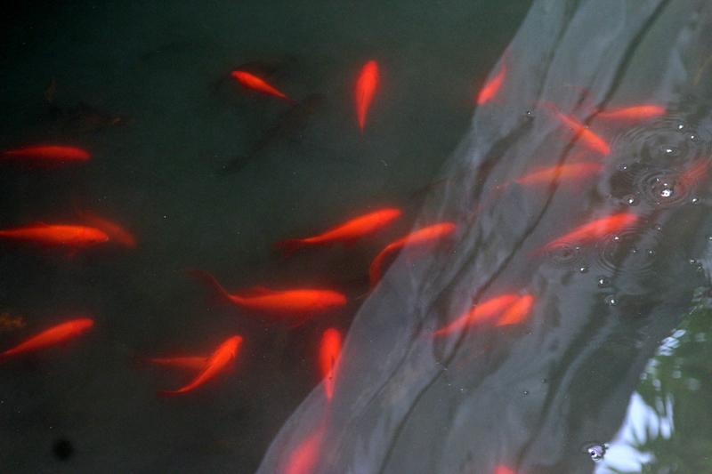 想要长寿，关键是坚持健康的日常习惯。饮食清淡规律，多吃蔬果全谷，每餐七八