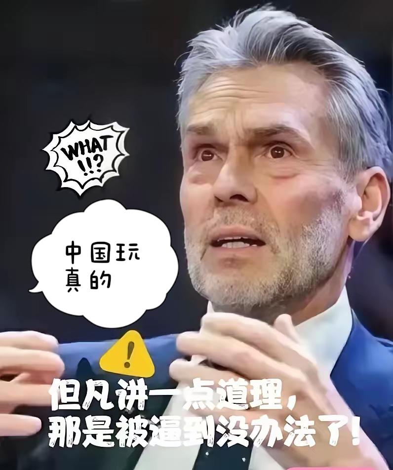 荷兰怎么也没想到，我们会出招这么狠，特朗普说他们不会报复的啊！安世芯片到底火成啥