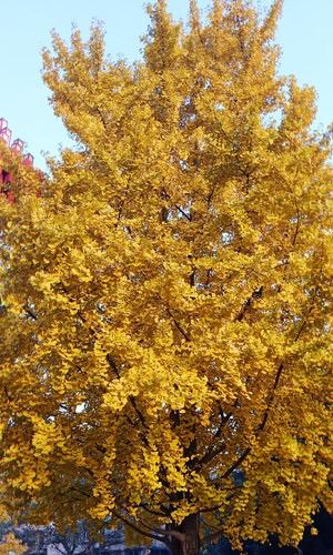 悄悄告诉你当前二手房市场隐藏的几个真相（23）！1、如果在售的房子带看量不低