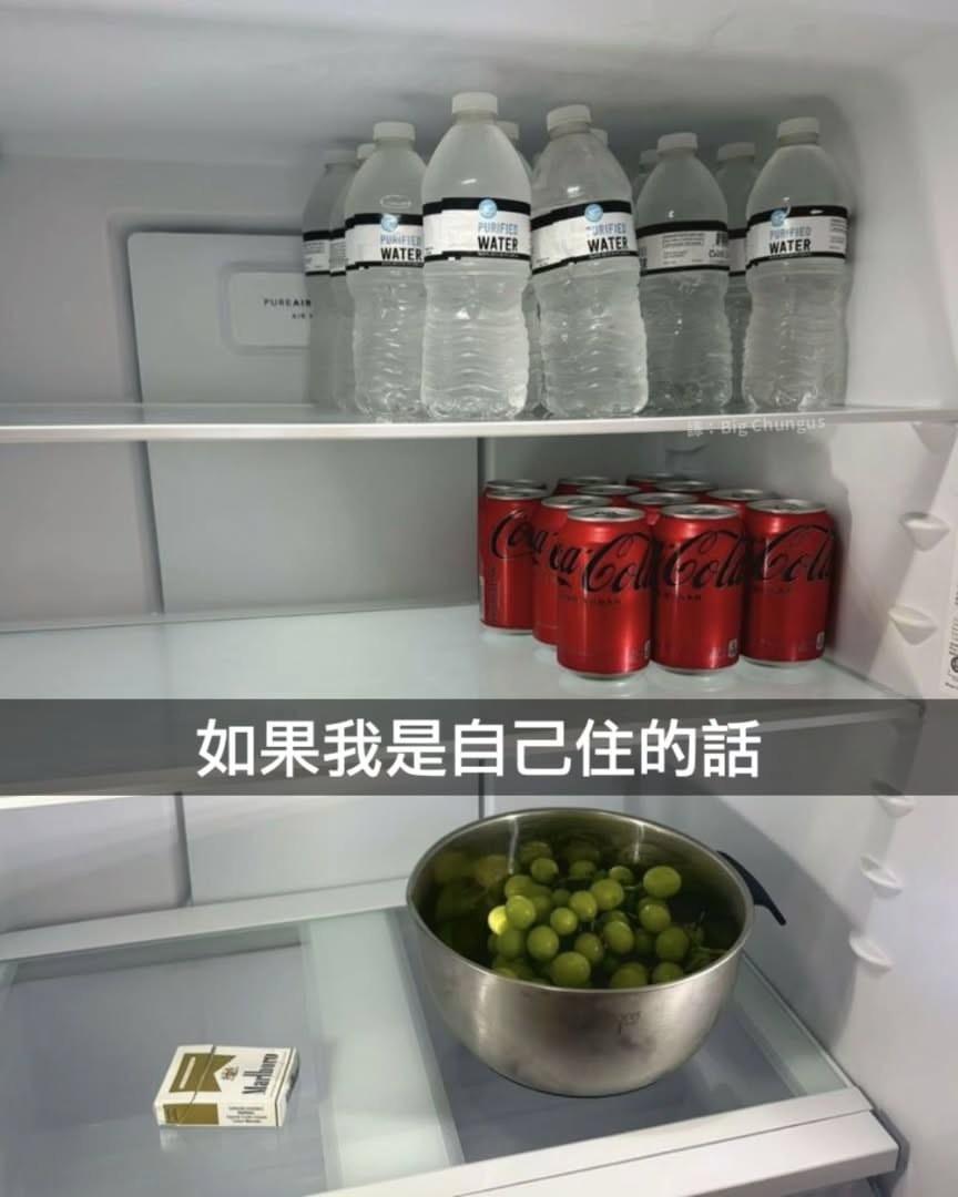 如果我有新冰箱：meme
