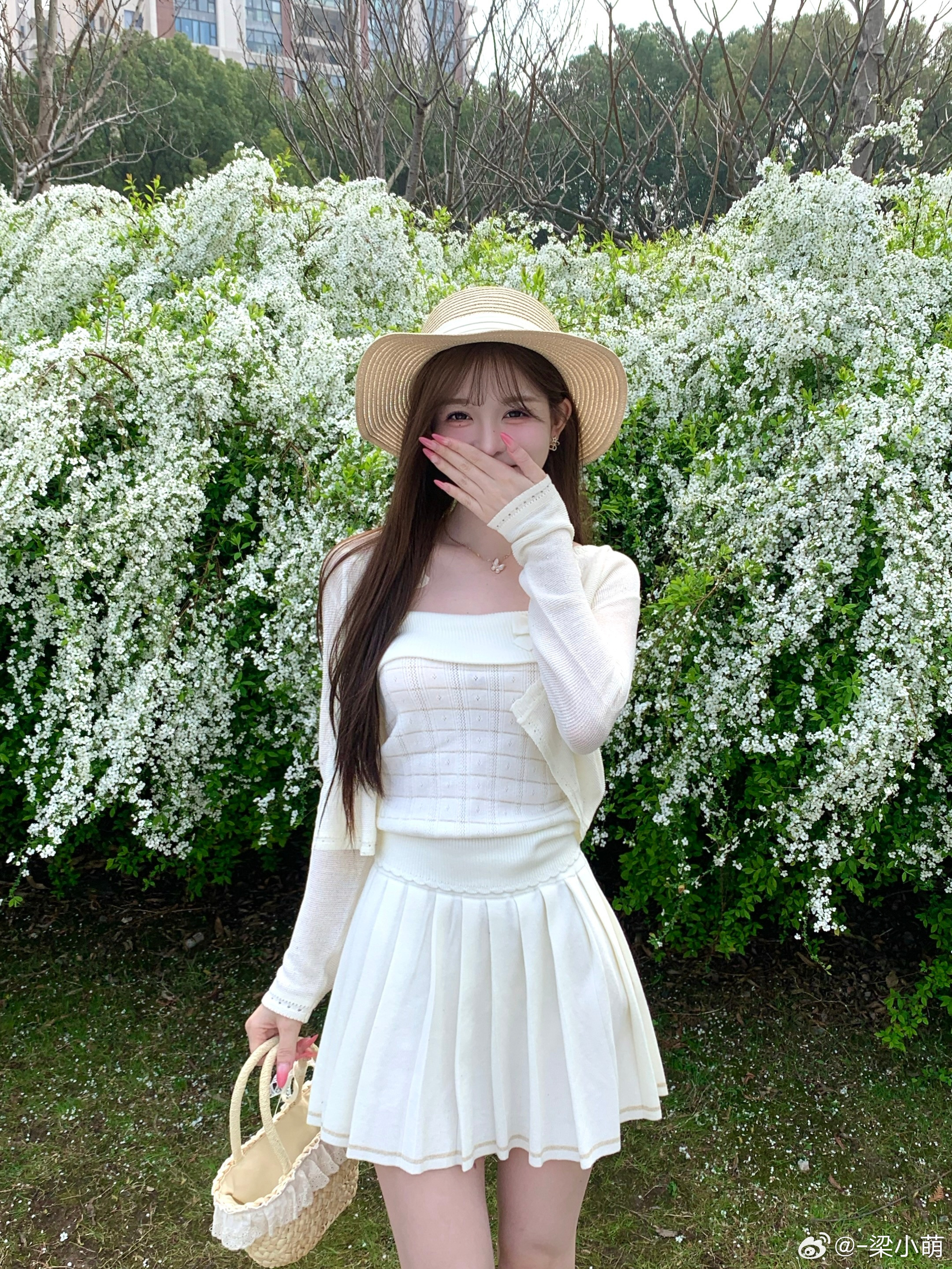 🤍🕊️🍃雪柳花盛开的季节上海最近的天气糟糕透了除了阴天就是下雨🌧️