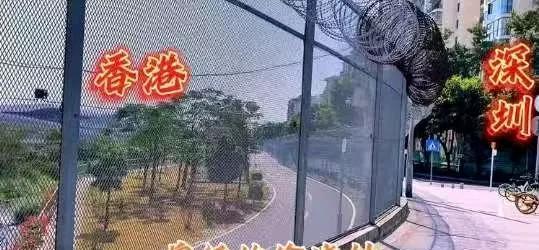 40年前，和香港一河之隔的罗芳村是偷渡大村，很多村民都逃到了香港。40后，罗芳