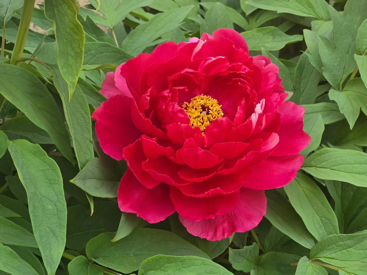 你上班把电充绿，把尿喝白，把事搅黄。