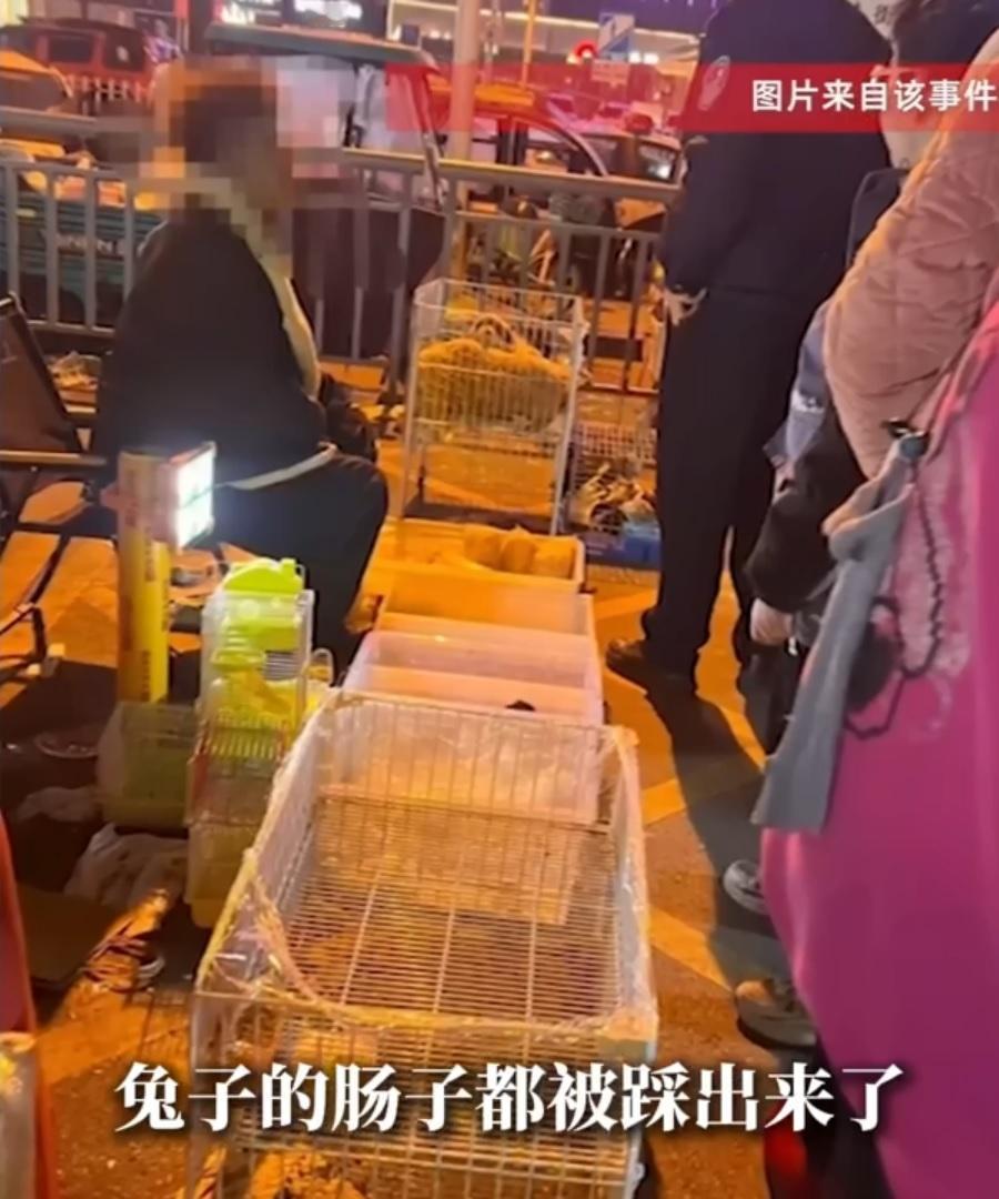 摊贩当街摔死兔子，被拘5日。网友争论该不该罚？有的网友认为不该罚，毕竟摊贩摔死的