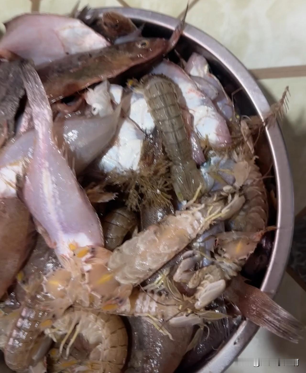 今天晚上的晚餐[捂脸哭]还有一盘炸新鲜小红虾，吃完了。哈哈哈。去海边白嫖了一