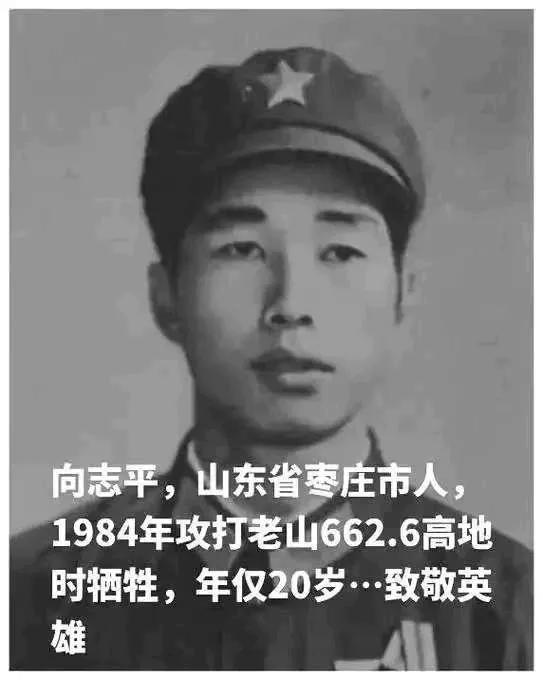 这是向志平烈士牺牲前十分钟的照片，看到这张照片，我的心被深深触动。他是山东枣