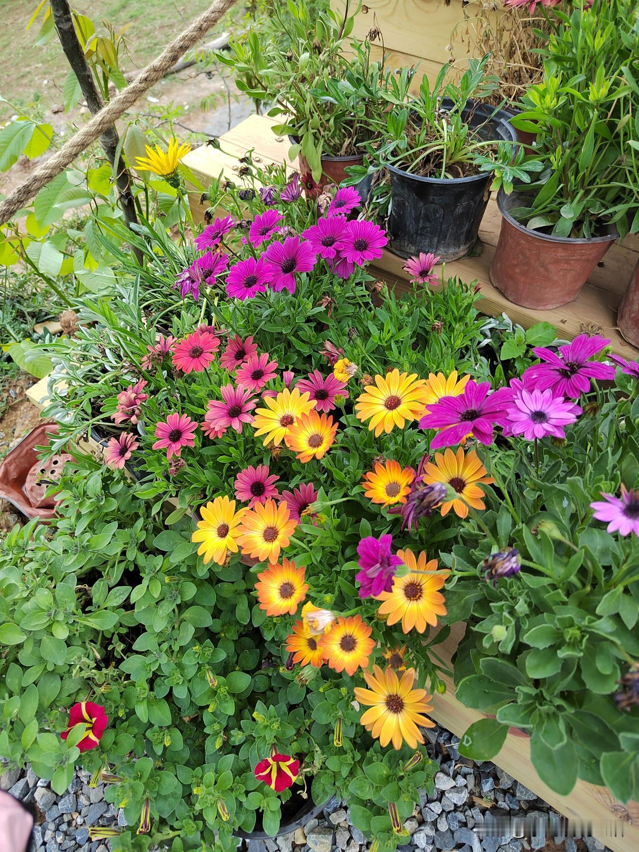 太正常了！按常理来说，退休后就不应该再工作了！你想想，为啥要让退休呢？那不