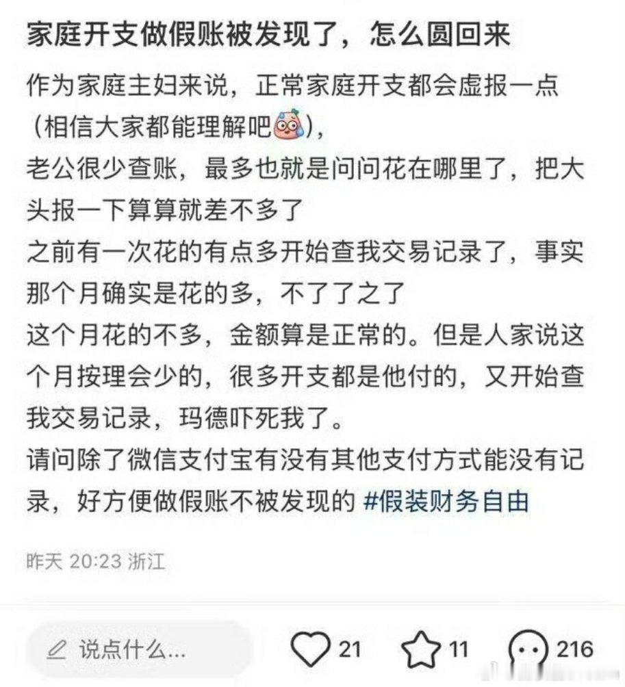 连家庭开支都要做假账。