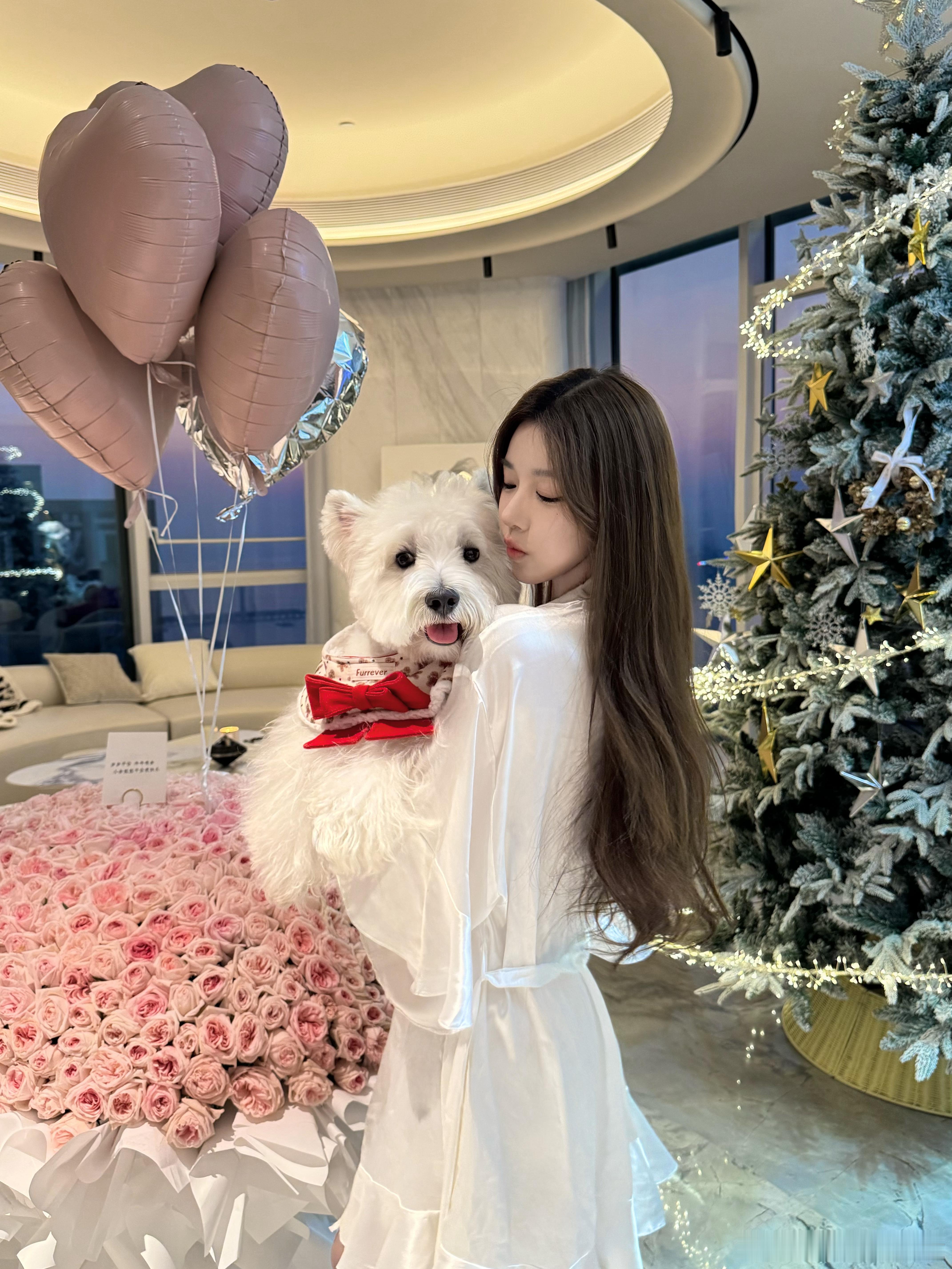 今年在家过的第二次圣诞🎄