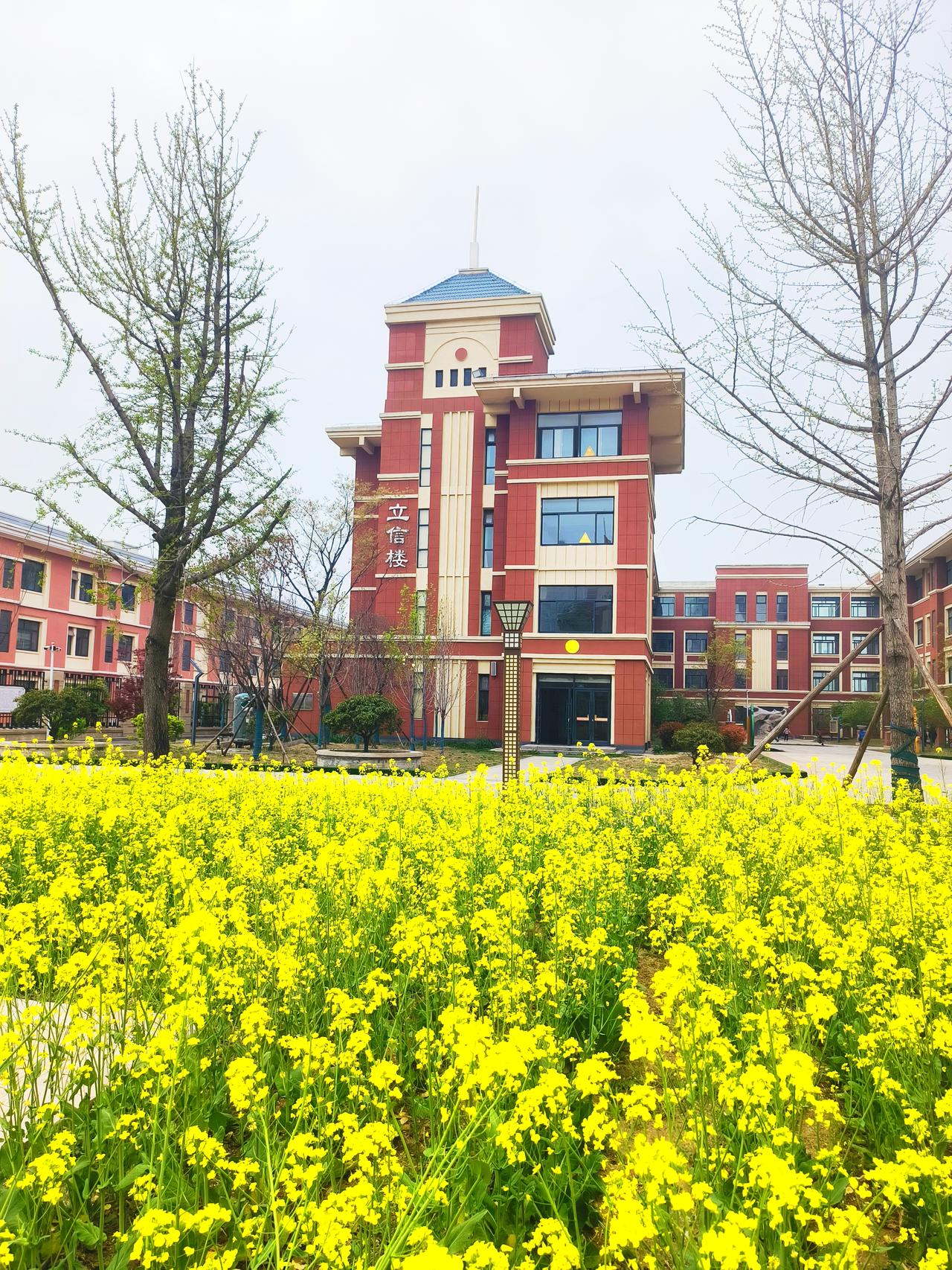 政教处主任问我，最近很多学生戴电话手表，很多老师反映学生上课的时候玩手表，有的录