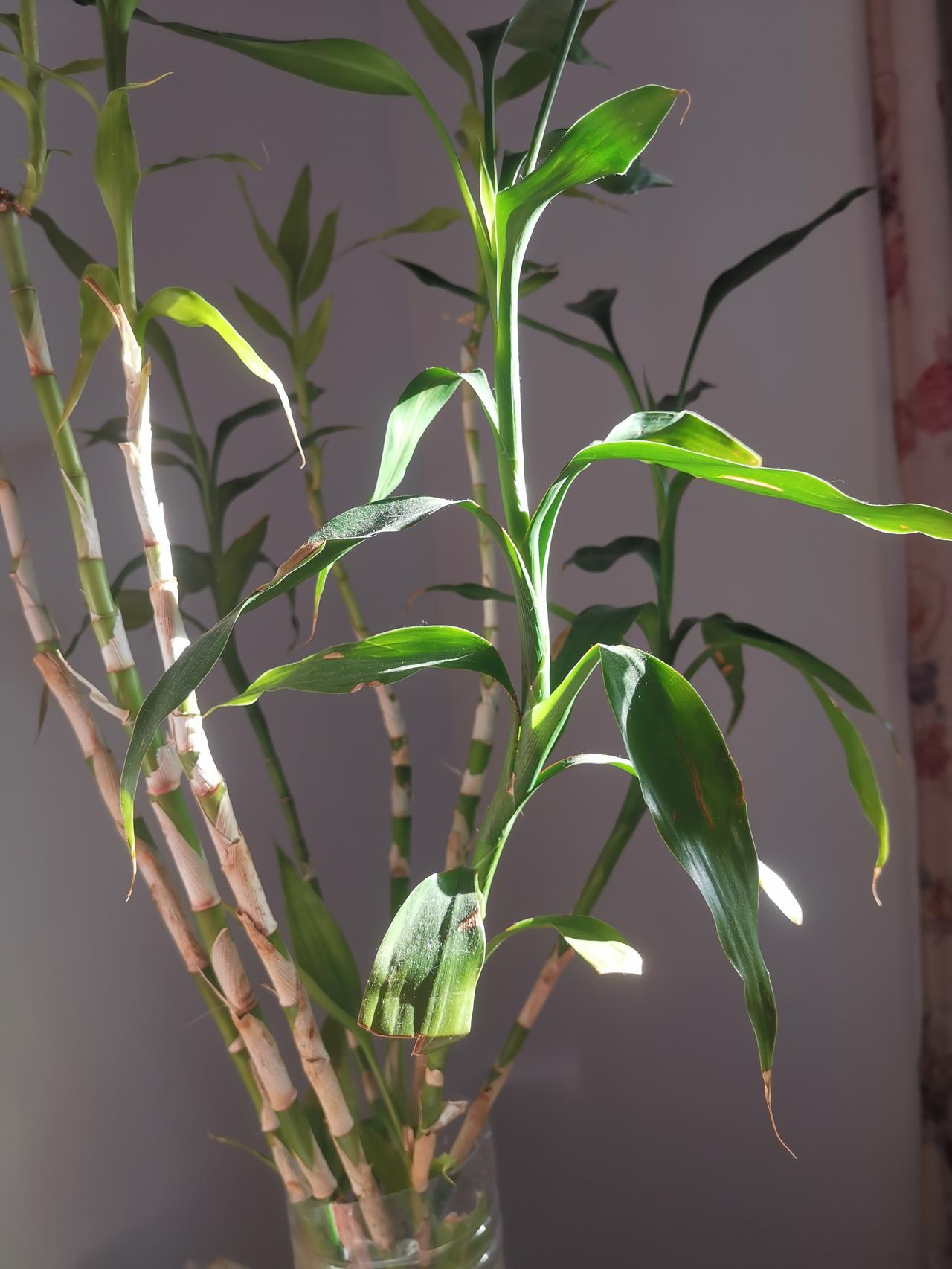 每一次见面都可能是人生的最后一次，珍惜眼前人。