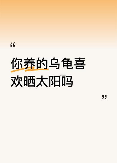 你养的乌龟喜欢晒太阳吗为了让乌龟更健康，有时间就带它出去溜溜[呲牙笑]