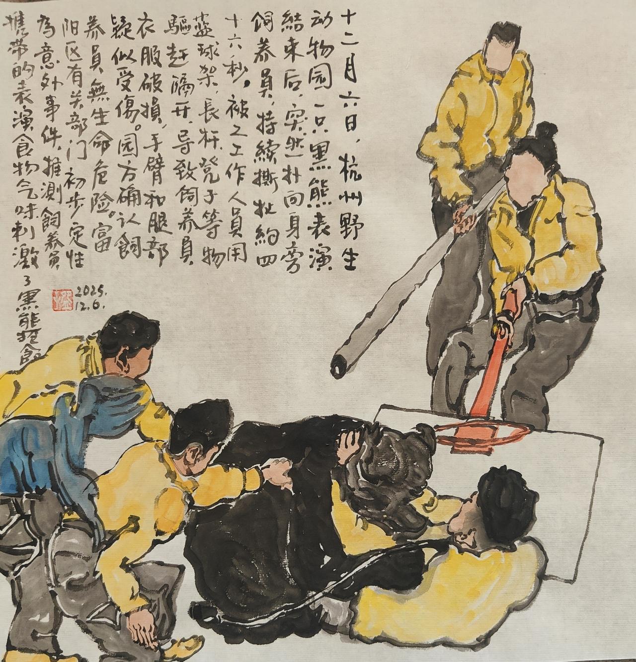 2025碗子记事：12月6日，杭州野生动物园一只黑熊表演结束后，突然扑向饲养员，