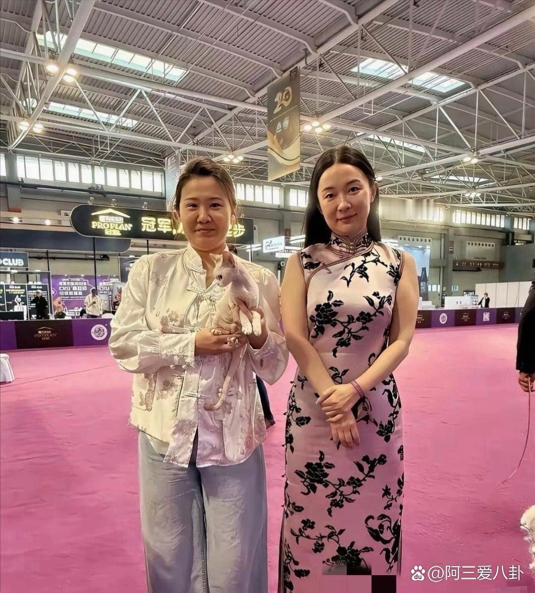 霍思燕这照片也太真实了