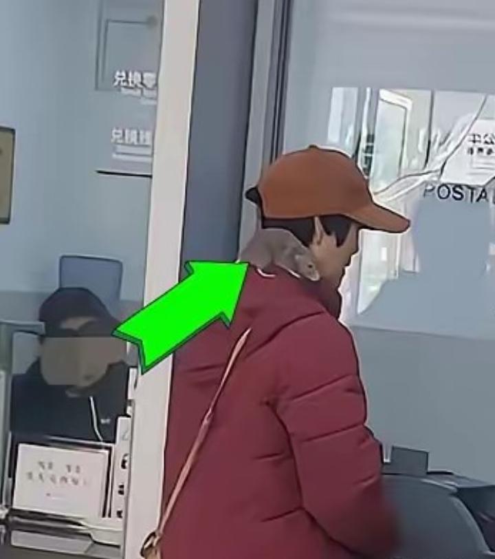 谁看谁不麻？女士去银行办业务，看到前边的大妈肩膀上趴着一只大老鼠，以为是野生的，