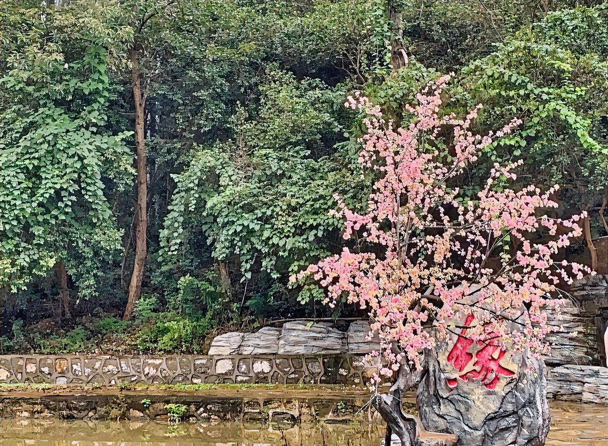 大课间，操场散步，遇到陈老师，我们边走边聊。聊到职称时，陈老师不禁长叹一声，带