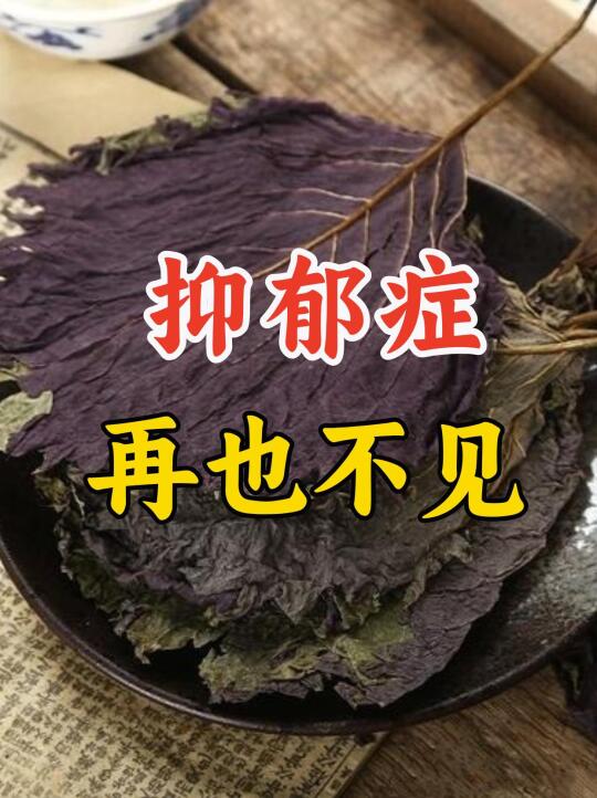 用3斤紫苏叶，消除孩子2年抑郁症后，我明白：医术没有高低之分，但医德有...