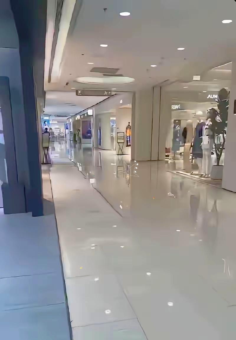 西安赛格最近忙着紧急公关，给各部门下死命令了，一周之内客流得恢复平时一半，两个月