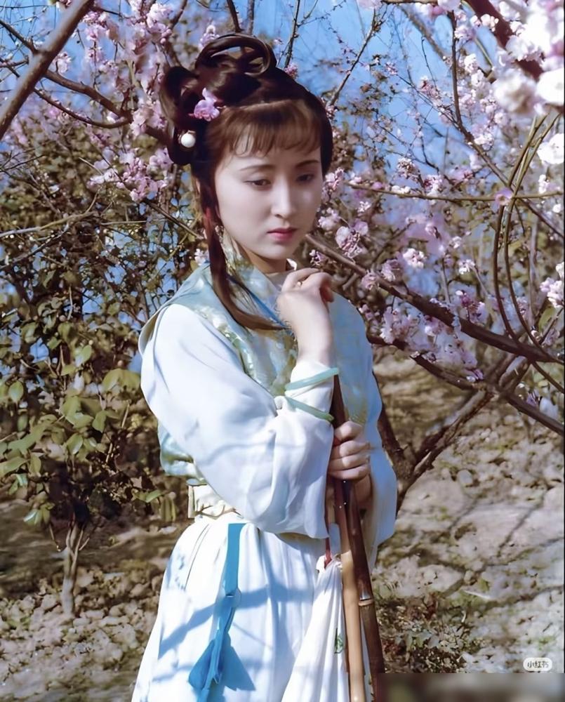 7.2亿砸新版红楼，甄嬛传编剧独挑大梁，网友直接炸锅喊停：别搞宫斗！2010