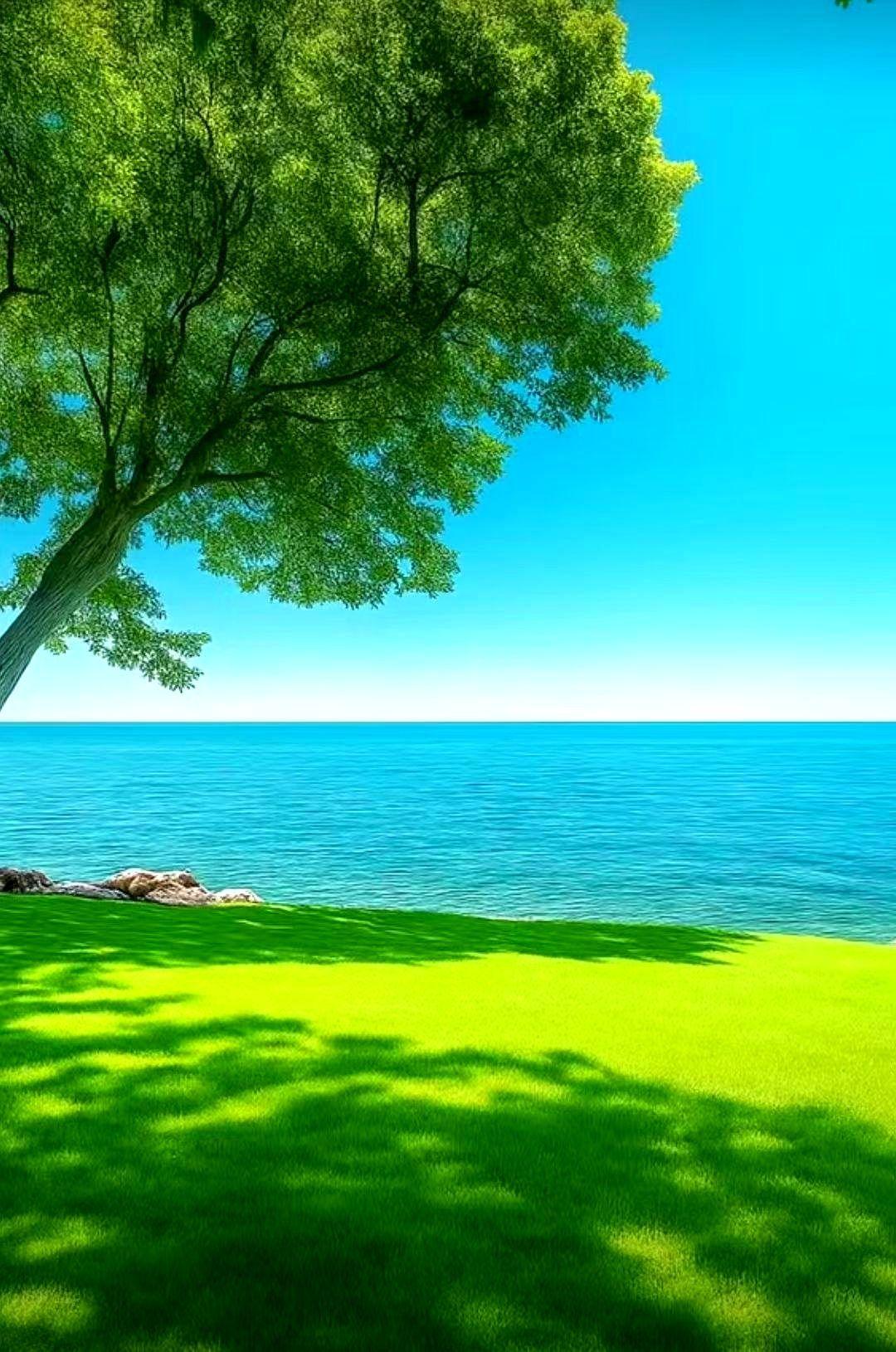 一位干了几十年组织工作的老领导告诫后生晚辈：在体制内一定要守住“橘子法则”。