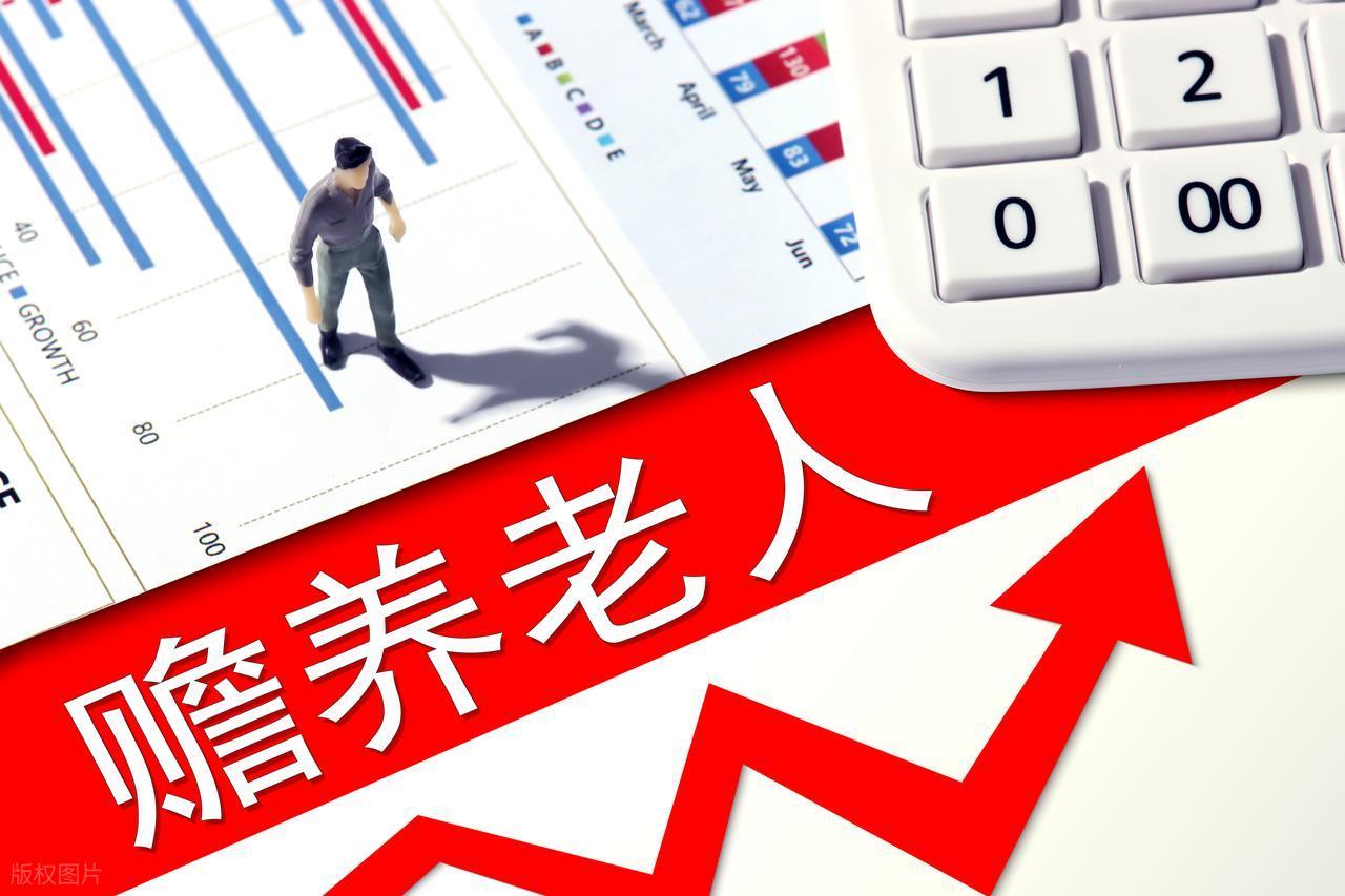 四川眉山，七十八岁的老母亲把两个儿子告上了法庭，要求他们每月支付赡养费。老大一直