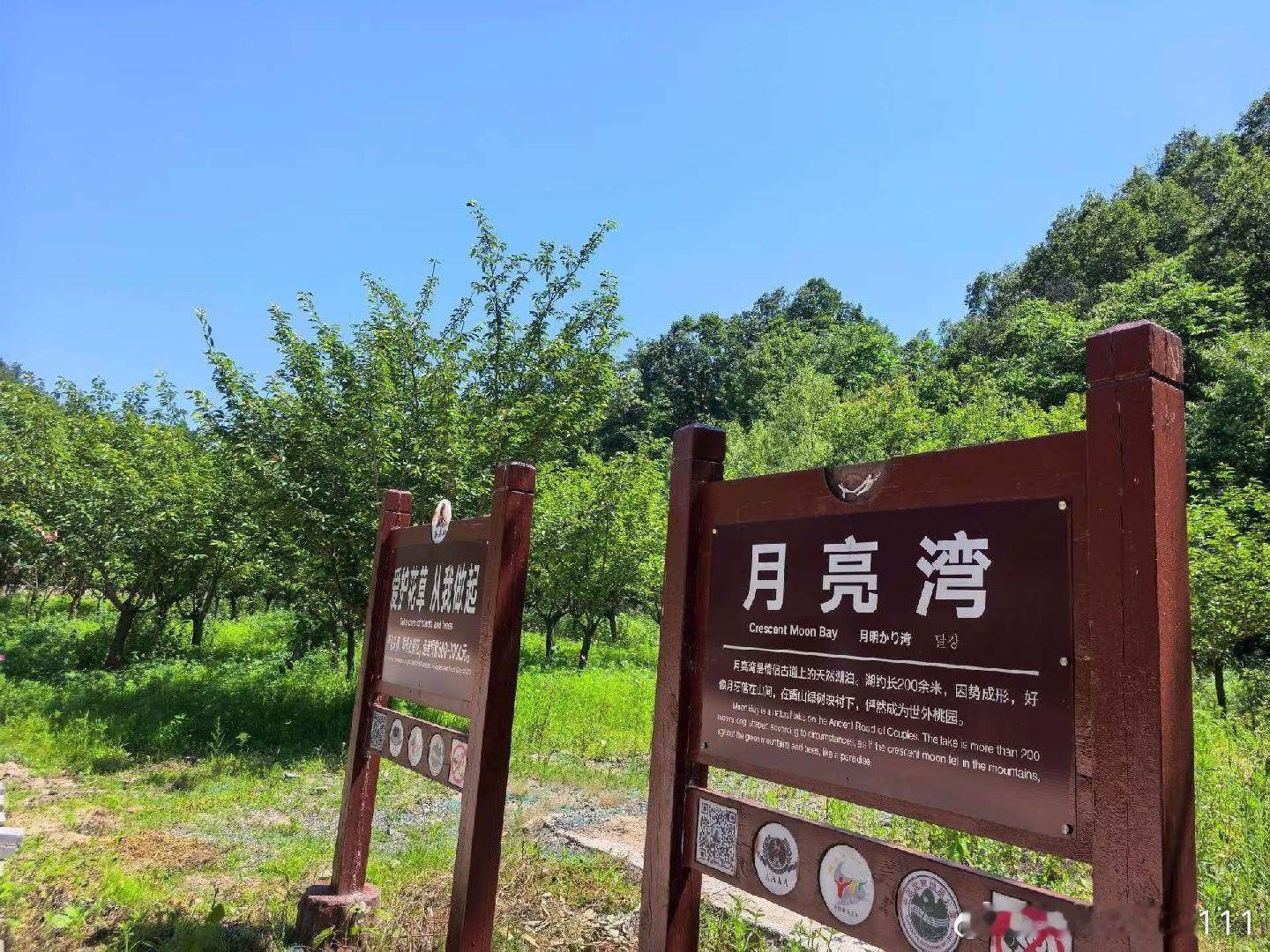 原创诗词洛阳西泰山抒怀幽涧藏龙飞白练，茂林环拥月亮湾。炎黄仙踪犹可寻，东岳遥应